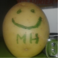 User profile picture